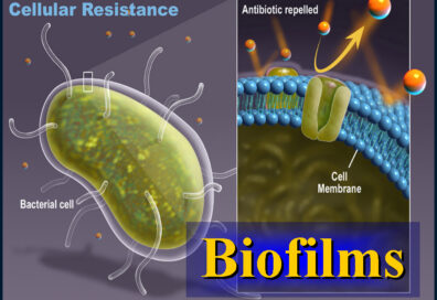 Βιολογικό φορτίο και biofilm